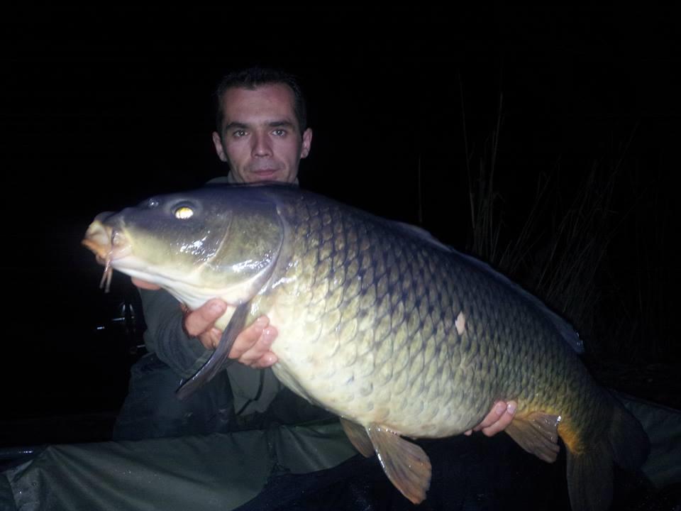 Tancabesti 28 - 29 mar. - 10150096660188887362249934020487n.jpg